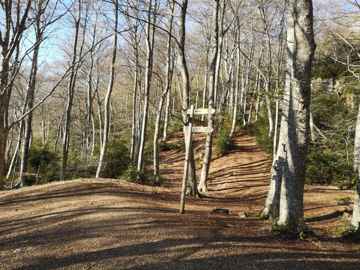 VidaurretaCasa Rural Ibarbegi IIアパートメント エクステリア 写真